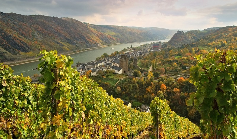 Ganz in der Nähe von Mainz befindet sich das Mittelrheingebiet in bester Weinlage. (#4)