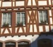 1. Mainzer Altstadt-Samstag: Schlemmen, Shoppen, Roter Teppich und so