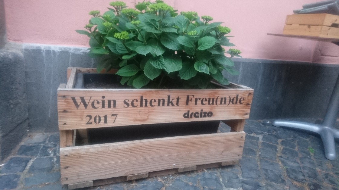 Da sind sich wohl alle einig: Wein schenkt Freu(n)de. Bergschön Mainz.