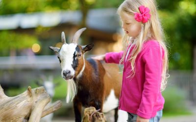 Es lohnt sich, einen Tierpark in Worms, Rheinböllen oder Kaiserslautern zu besuchen, anstatt sich in ein Tierkostüm zu werfen. (Foto: AdobeStock - MNStudio 194182270)